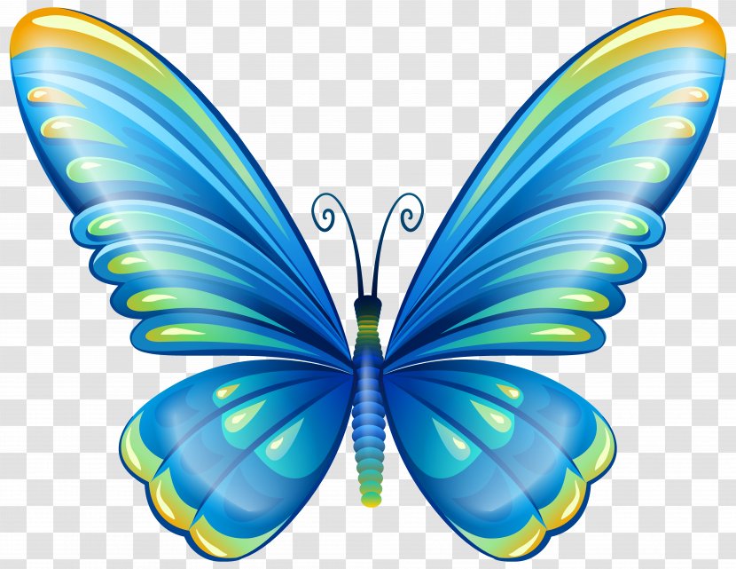 Butterfly Clip Art - Moths And Butterflies - Large Blue Image Transparent PNG