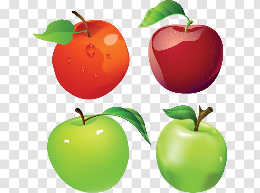 Apple Manzana Verde Royalty-free Clip Art - Acerola Transparent PNG