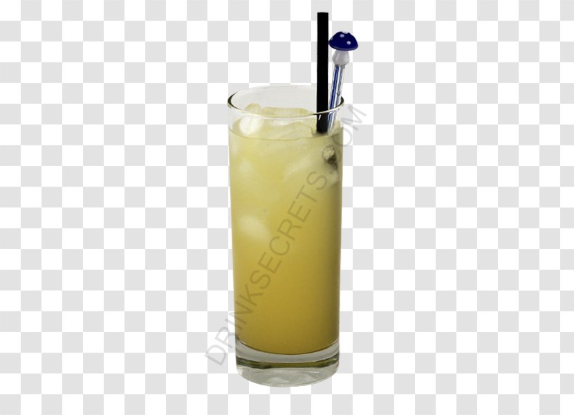 Harvey Wallbanger Sea Breeze Cocktail Garnish Mai Tai Fuzzy Navel - Non Alcoholic Beverage - Dog Drink Transparent PNG