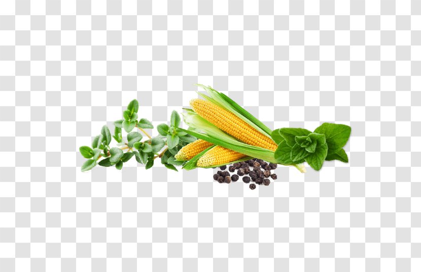 SRG ORGANIC FOODS INDIA PVT LTD Manchow Soup Greens - Vegetable Transparent PNG