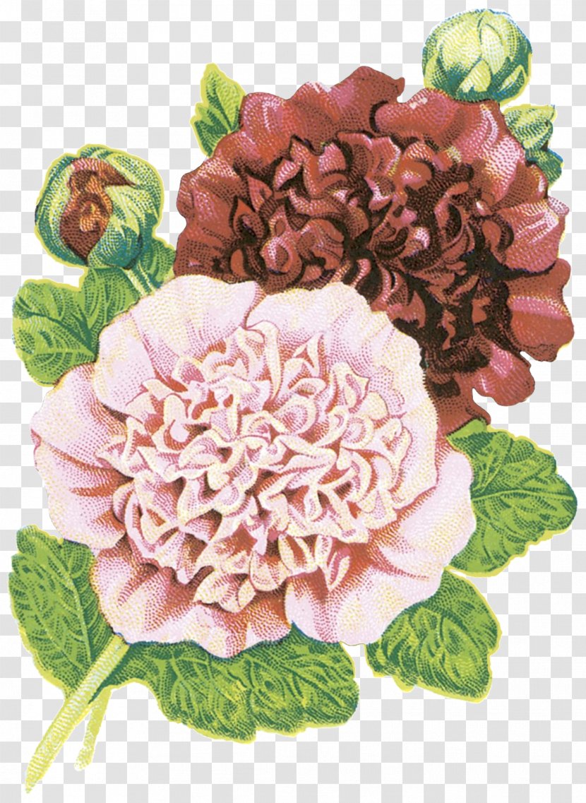 Flower Garden Gardening Roses - Plant - Lilac Transparent PNG