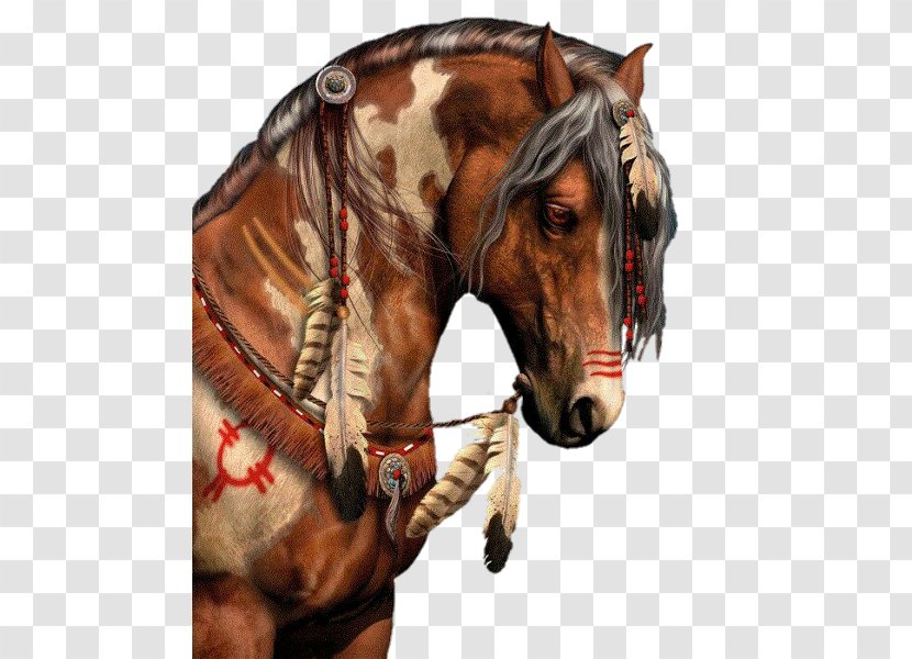 American Paint Horse Indian Wars Mustang Pony - Supplies Transparent PNG