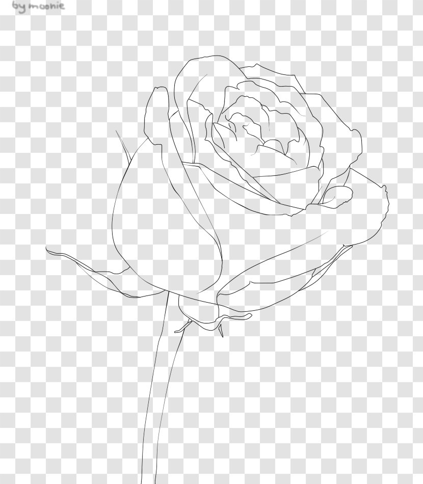 Garden Roses Floral Design Sketch - Black And White Transparent PNG