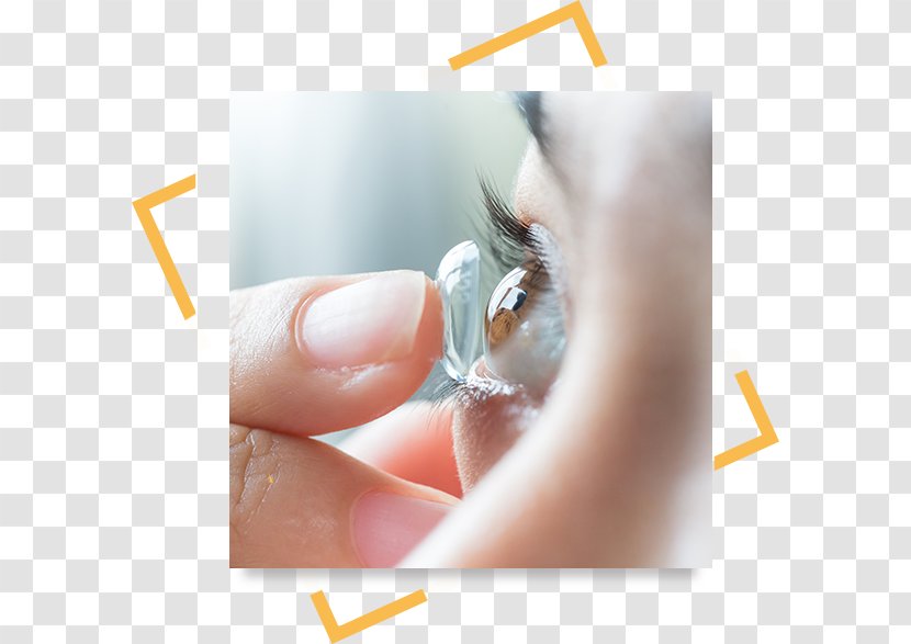 Optometry Contact Lenses Eye Examination Care Professional - Optician Transparent PNG
