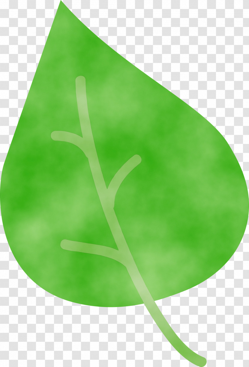 Leaf Plant Stem Green Plants Plant Structure Transparent PNG