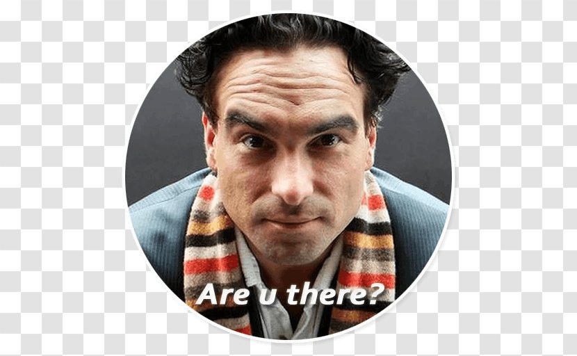 Johnny Galecki The Big Bang Theory Stickers Sheldon Cooper - Television Show Transparent PNG