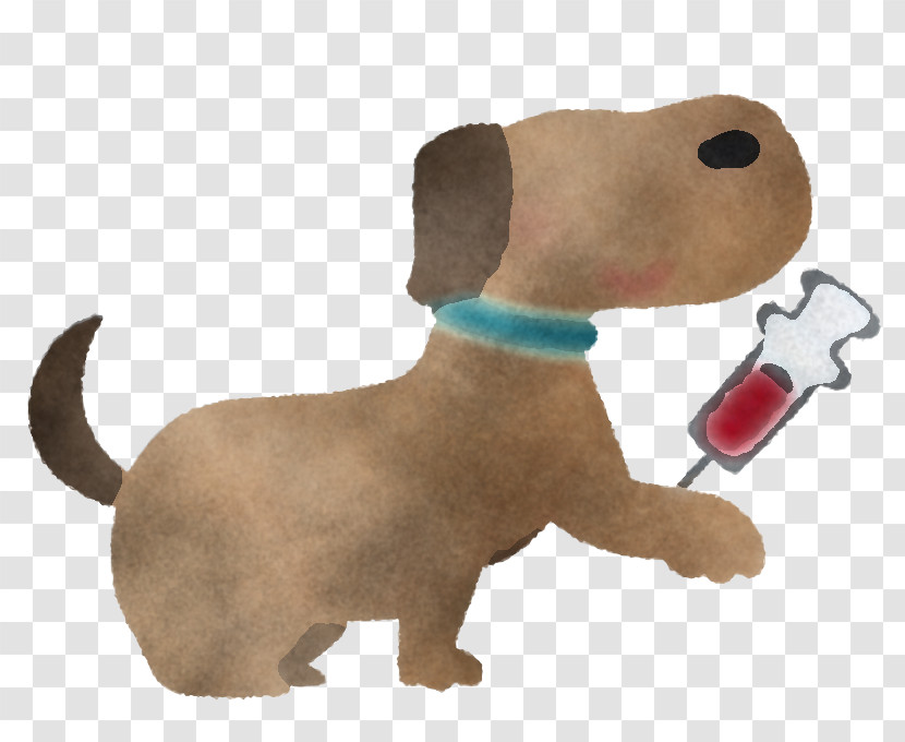 Pet Health Health Care Transparent PNG