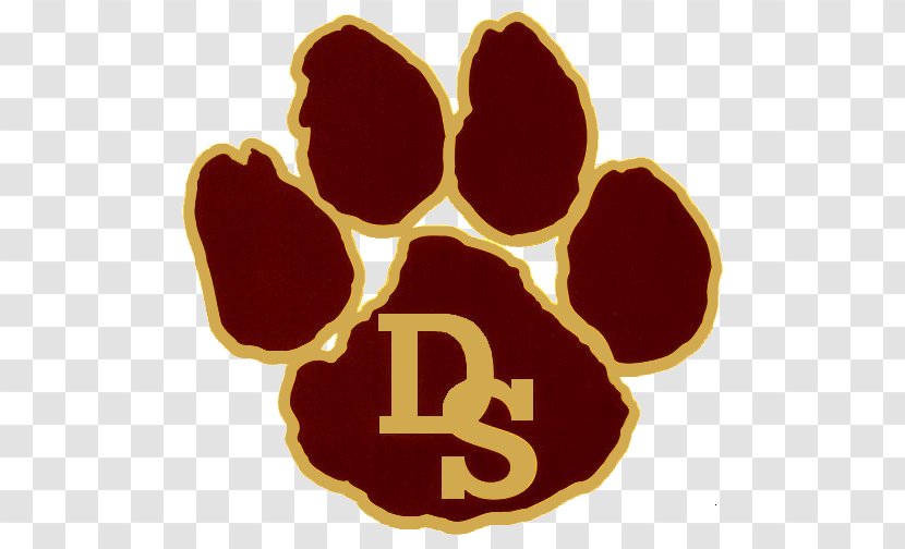 Detroit Tigers Dripping Springs Middle School Tiger Lane High KDRP-LP - Texas - Sport Transparent PNG
