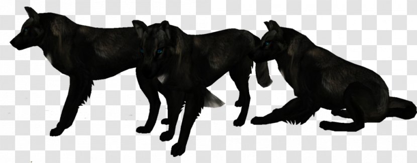 Dog Black Wolf Fur Arctic - Blue Eyes - Blackwolf Transparent PNG