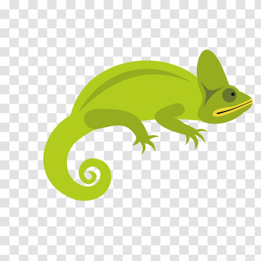 Chameleons Lizard Reptile Illustration - Stock Photography - Green Chameleon Transparent PNG