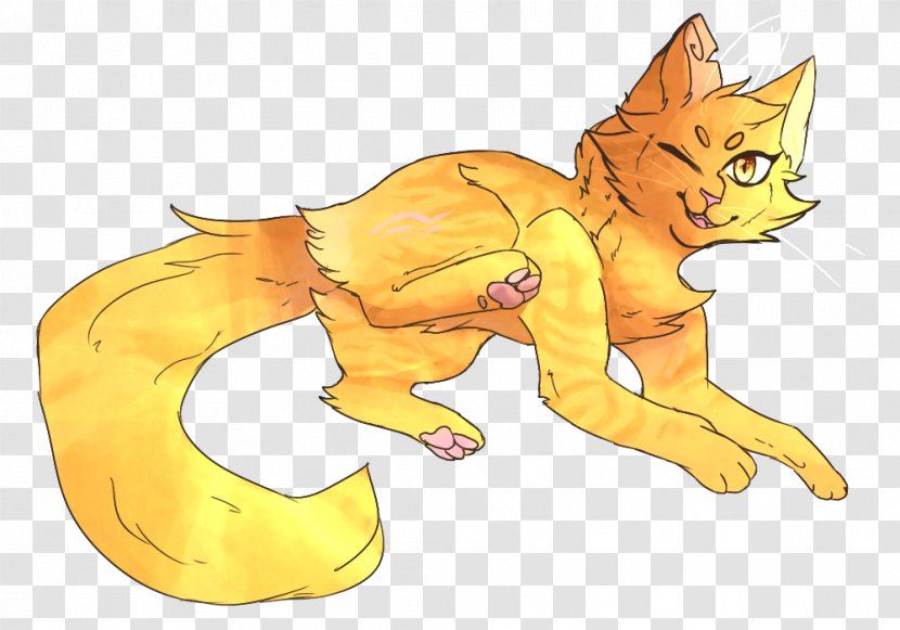 Kitten Whiskers Red Fox Cat - Vertebrate Transparent PNG