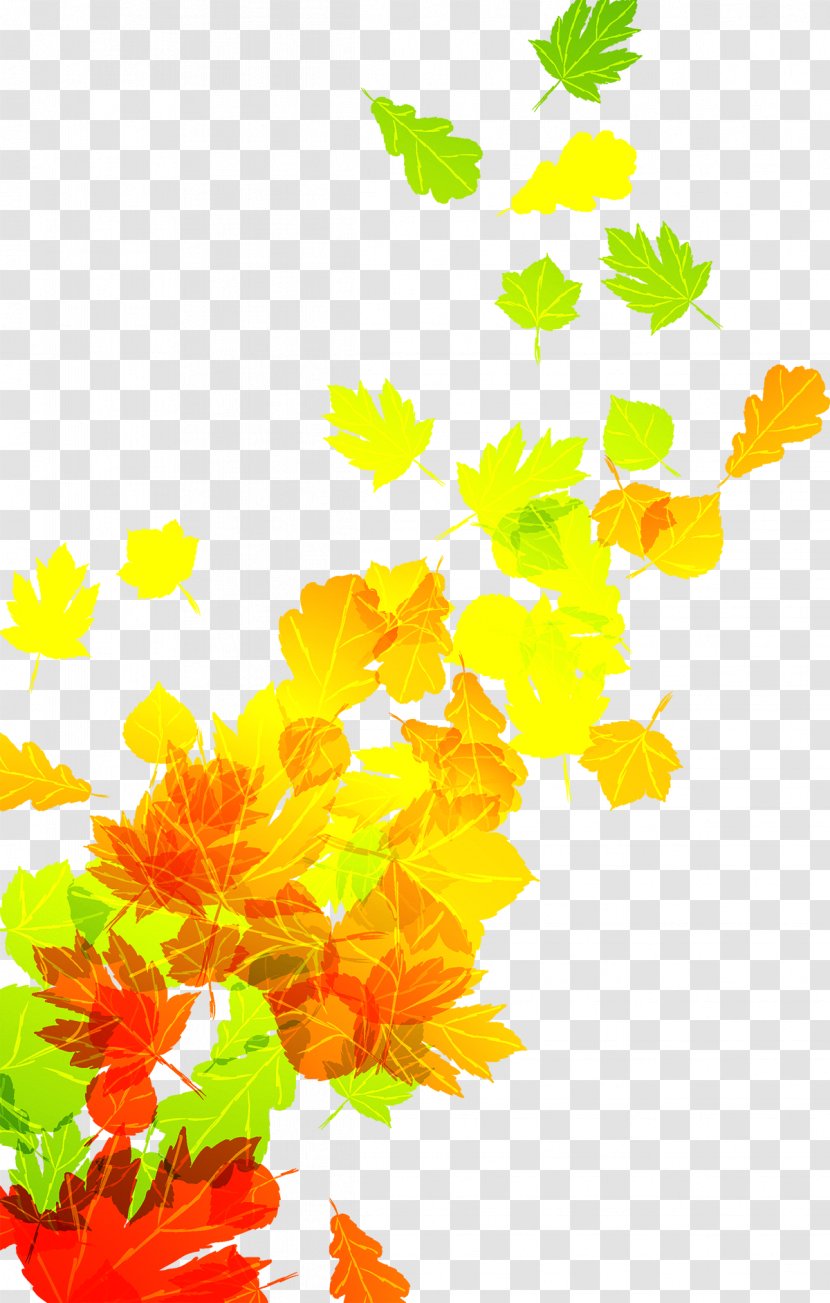 Autumn Leaf Color - Falling Leaves Transparent PNG