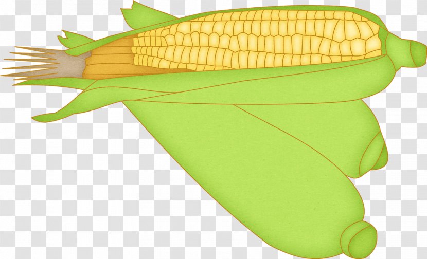 Corn On The Cob Food Vegetable Transparent PNG