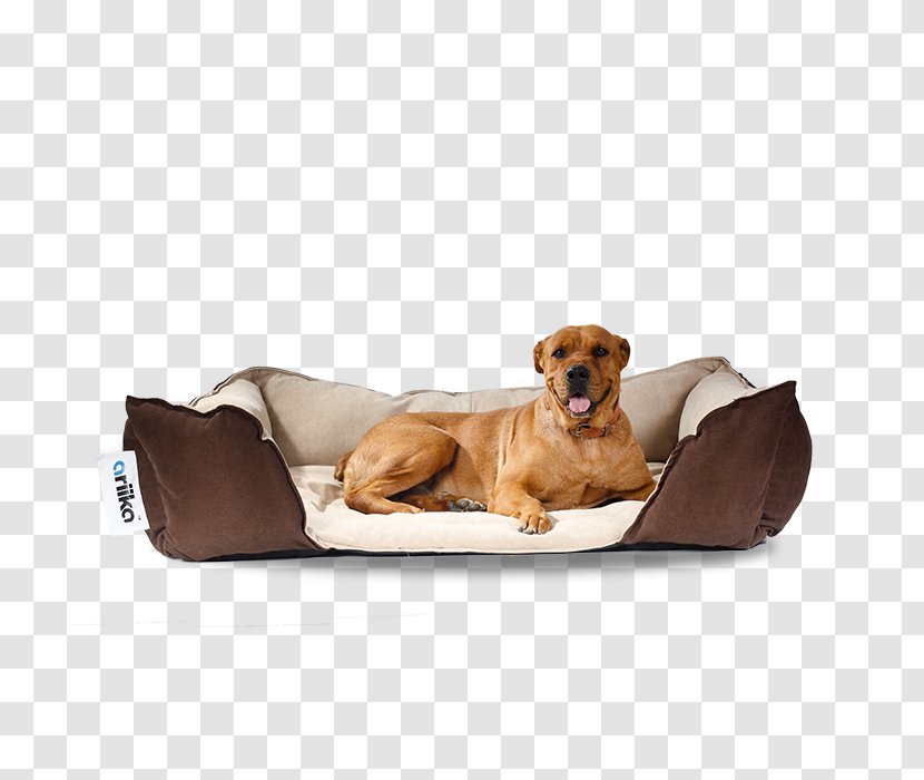 Companion Dog Puppy Bean Bag Chairs - Comfort - Spike Transparent PNG