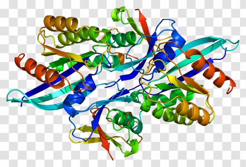 Adamantane RALGDS Chemistry Hydroxylation Protein - Molecule - Ffeil Transparent PNG