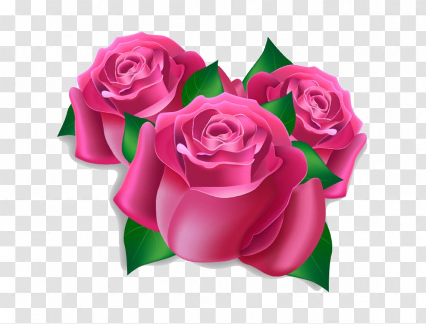 Birthday Cake Greeting Card Wish Wife - Love - Pink Rose Transparent PNG