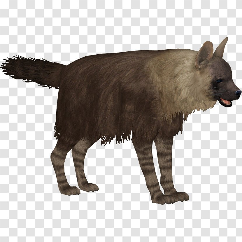 Zoo Tycoon 2 Striped Hyena African Wild Dog - Canidae Transparent PNG
