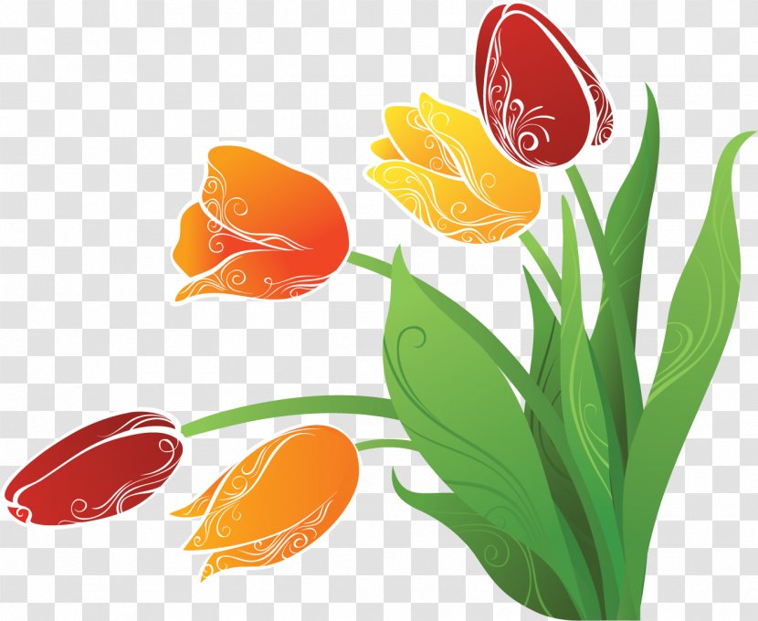 Tulip Flower Drawing Transparent PNG