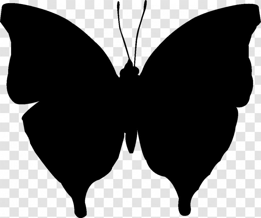 Brush-footed Butterflies Clip Art Silhouette Black M - Symmetry - Blackandwhite Transparent PNG