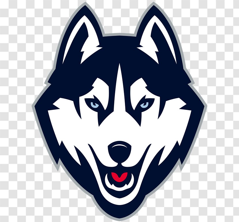 University Of Connecticut Huskies Football Men's Basketball Baseball NCAA Division I Bowl Subdivision - Symbol - Husky Transparent PNG