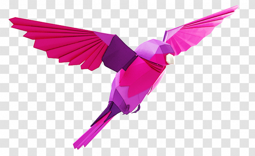 Hummingbird Transparent PNG