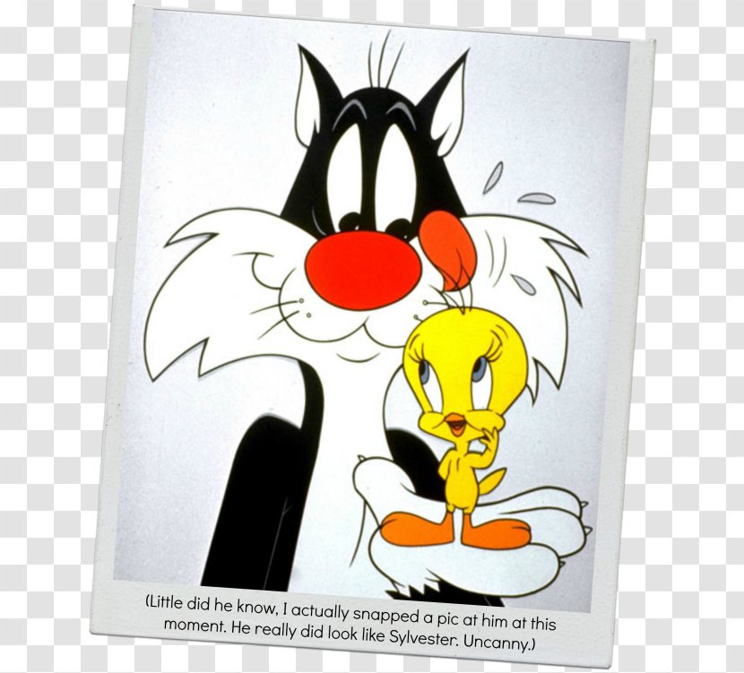 Sylvester Tweety Bugs Bunny Daffy Duck Tasmanian Devil - And Transparent PNG