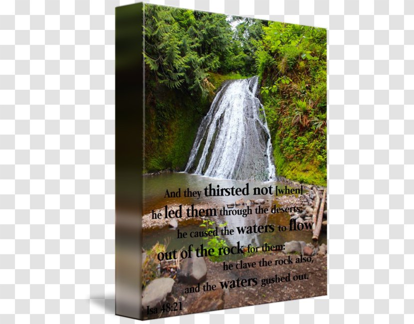 Waterfall Nature Reserve Quotation Water Resources - Gift - Scenery Transparent PNG