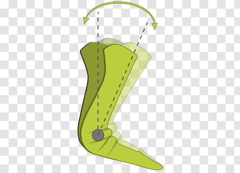 Shoe Line Angle Cartoon - Plant Transparent PNG