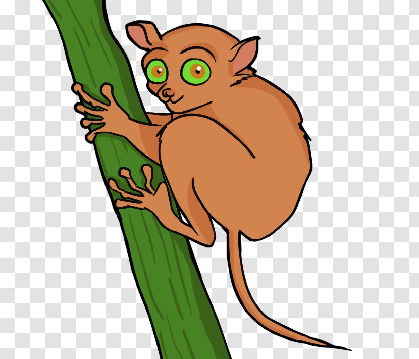 Tarsier Royalty-free Clip Art - Philippine - Pictures Of Nocturnal Animals Transparent PNG
