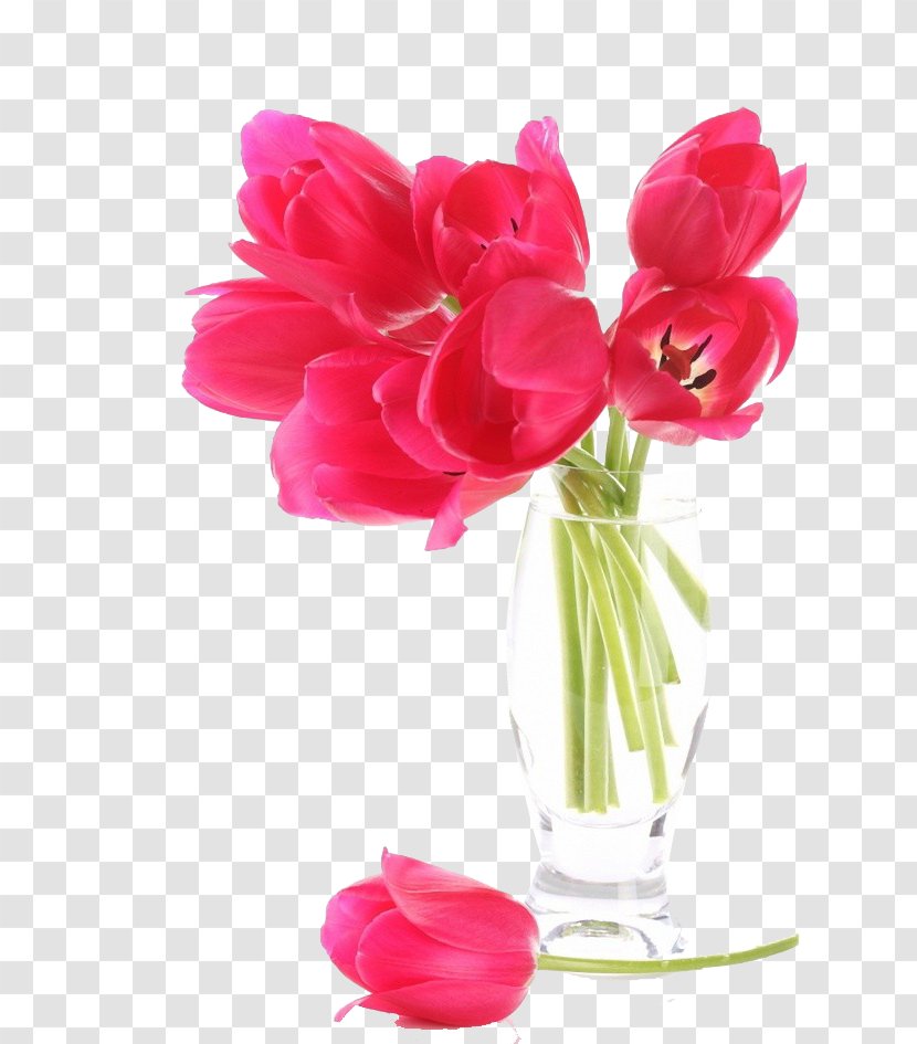 Love Lyrics Song Feeling - Floristry - Rose Red Tulips Bouquet Transparent PNG