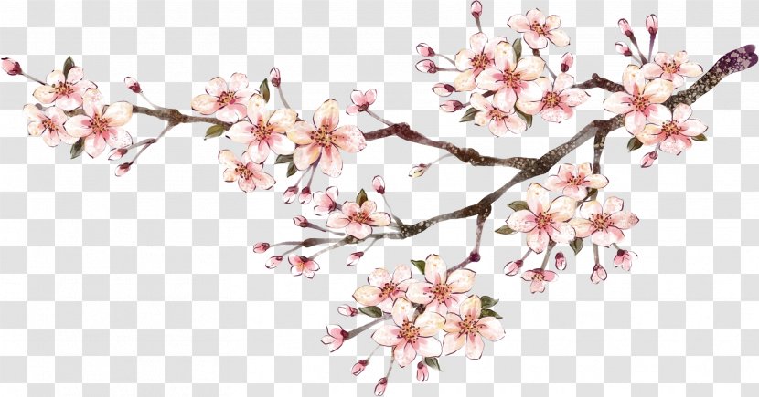Chinese New Year Poster Painting - World Wide Web - Plum Flower Transparent PNG