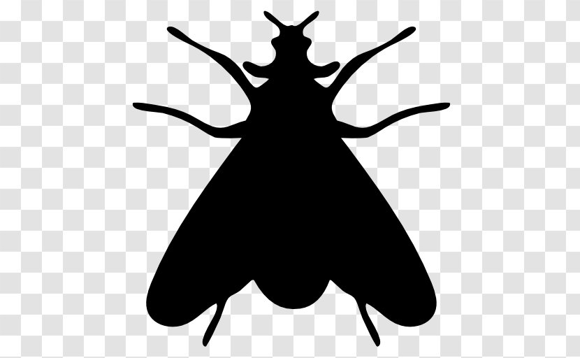 Insect Moth Icon - Share - Silhouette Flies Transparent PNG