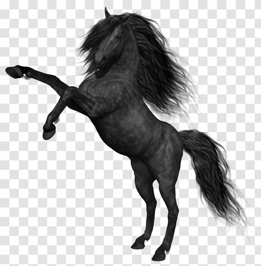Mustang The Black Horse Canter And Gallop - Watercolor Transparent PNG