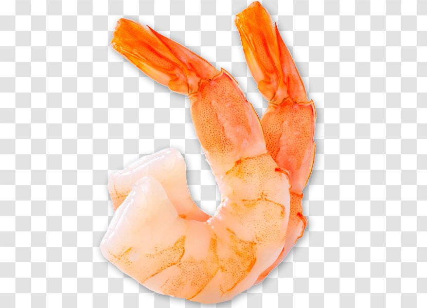 Caridea Mexican Cuisine Shrimp Prawn Stock Photography - Decapoda - Shrimps Transparent PNG