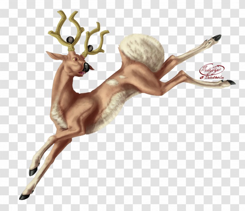 Reindeer Stantler Drawing Art Transparent PNG