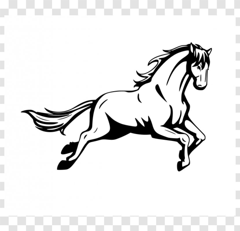 Sticker Halter Stallion Mustang Adhesive - Horse Tack Transparent PNG