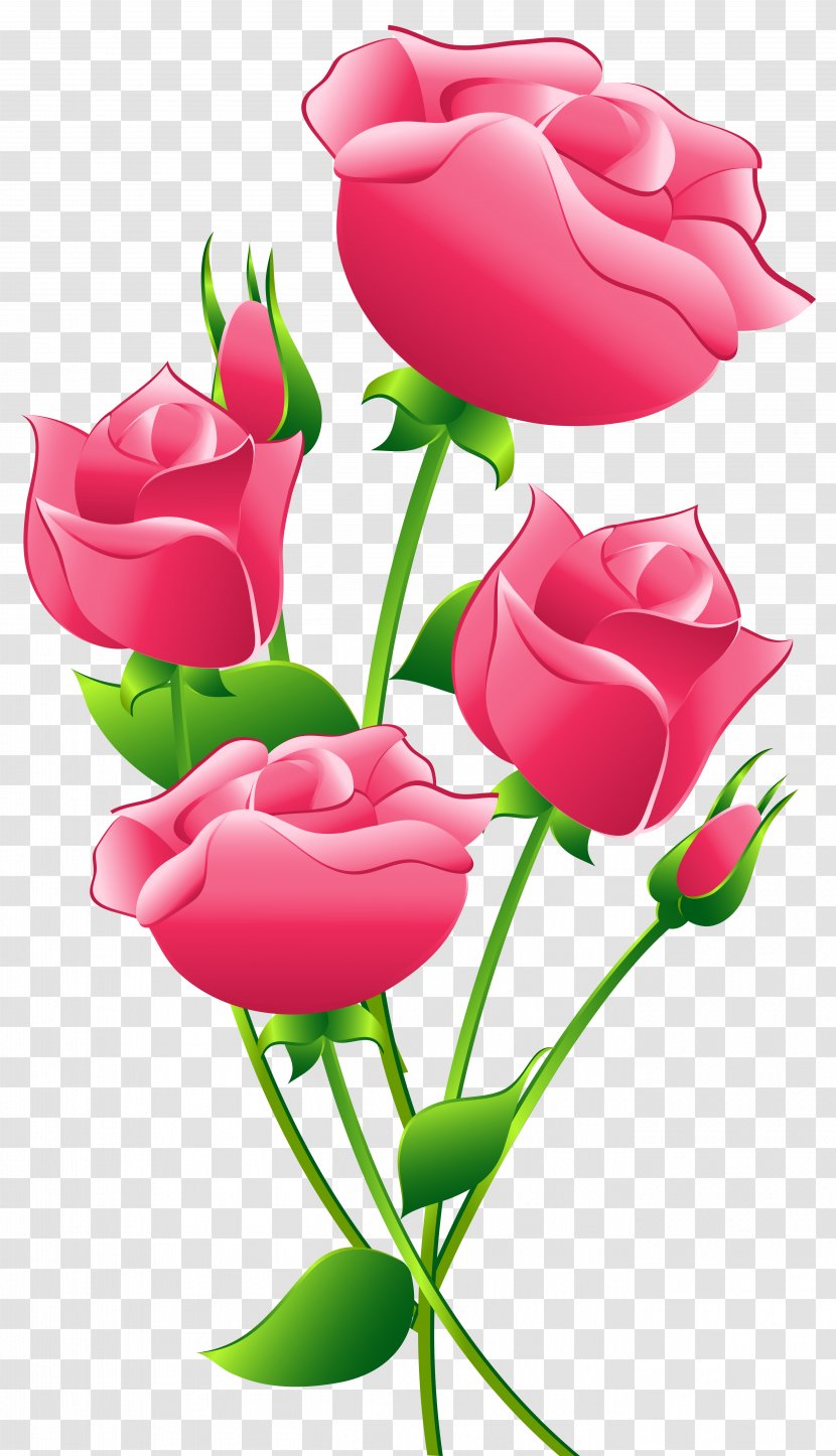 Rose Pink Clip Art - Flower - Roses Transparent Image Transparent PNG