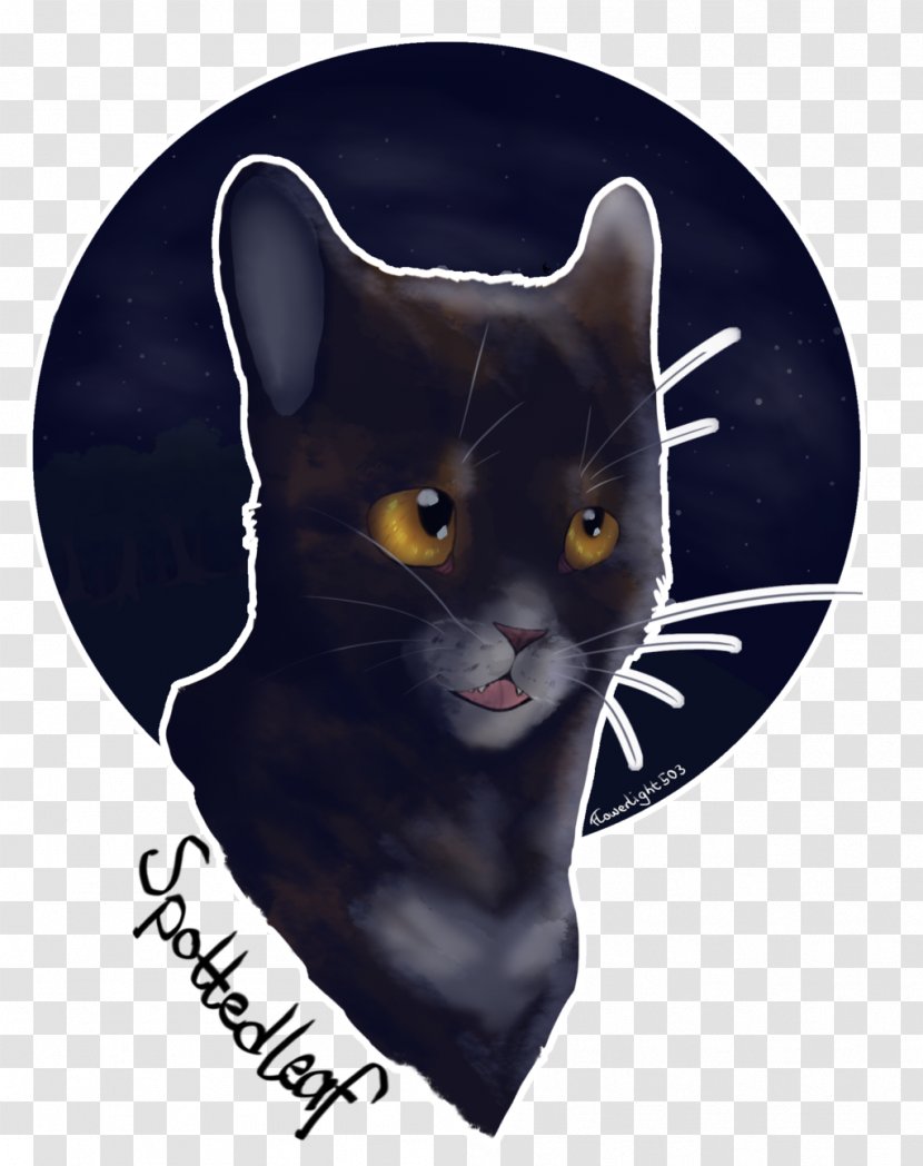 Whiskers Domestic Short-haired Cat Snout - Black Transparent PNG