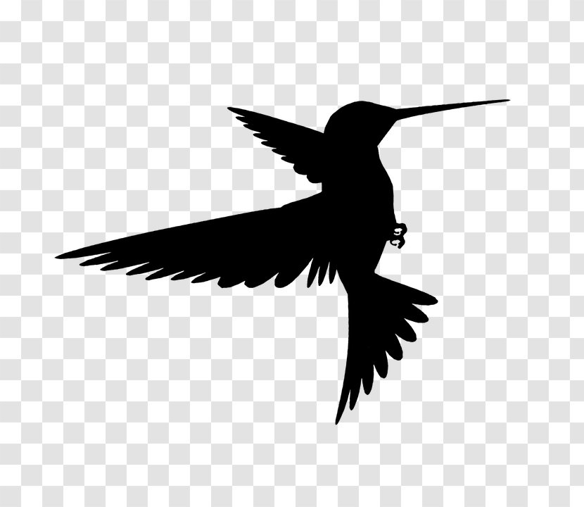 Hummingbird Silhouette Wing - Flight - Bird Transparent PNG