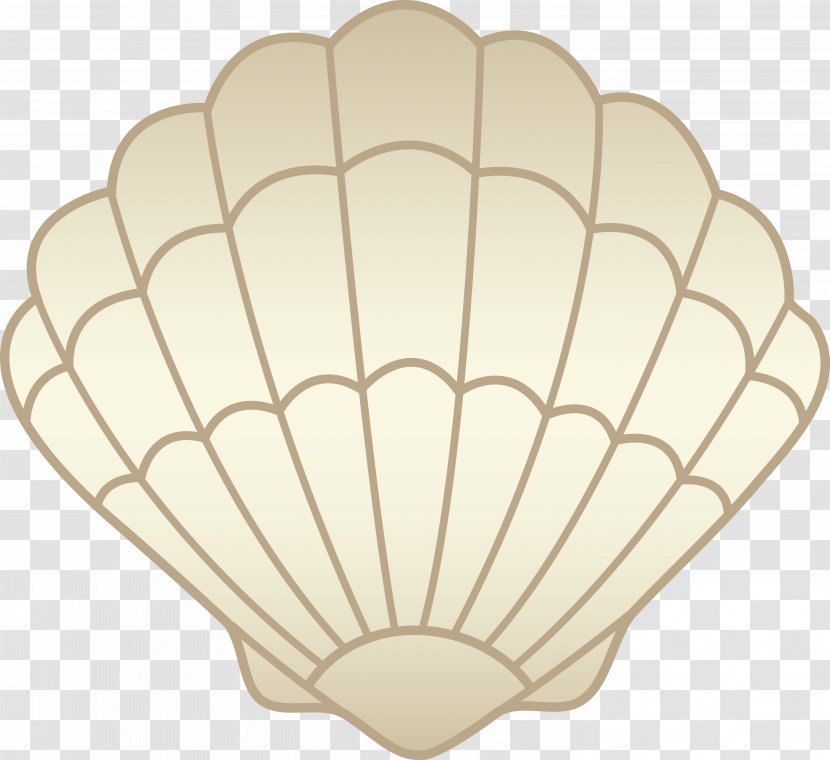Clam Seashell Black And White Clip Art - Blog Transparent PNG