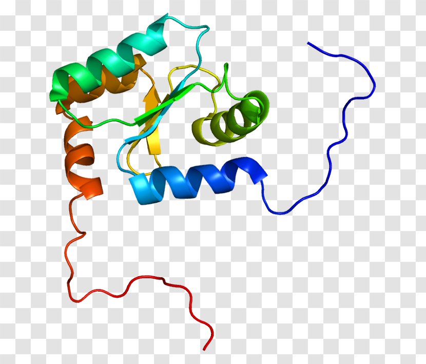 GLRX2 Protein Glutaredoxin Gene Glutathione - Cartoon - Dendrite Transparent PNG