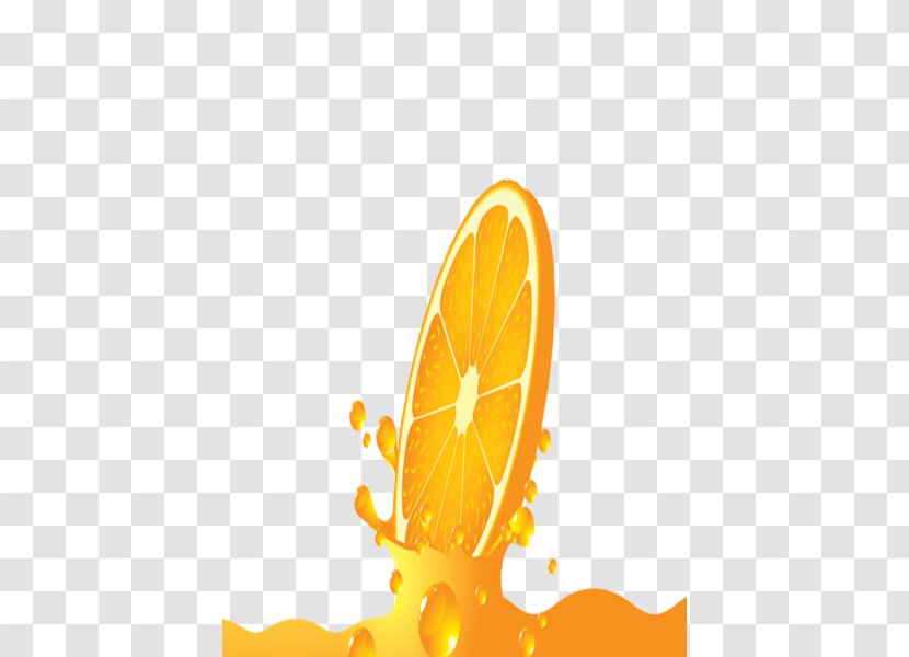 Orange Juice Lemon - Food Transparent PNG