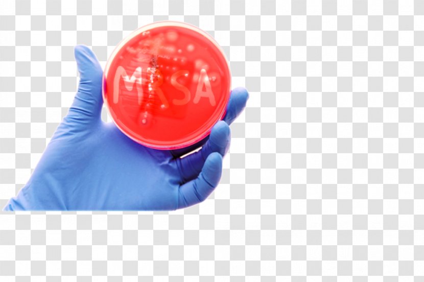 MRSA Super Bug Bacteria Multiple Drug Resistance Skin Plastic - Health - Staph Transparent PNG