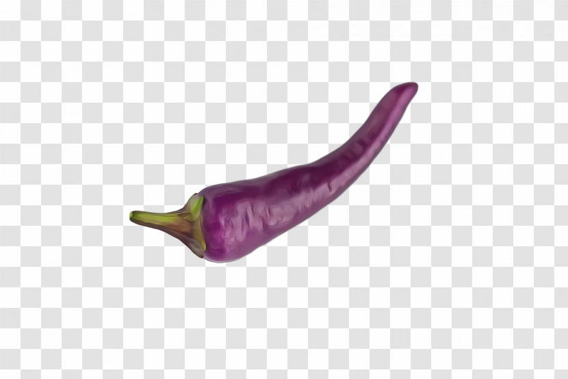 Pasilla Peppers Purple Transparent PNG