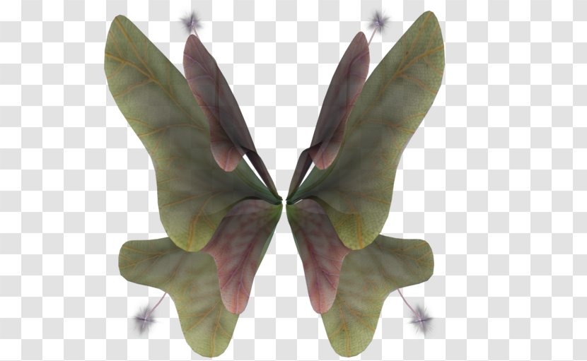 Thumbnail Data Compression - Pollinator - Flower Type Transparent PNG