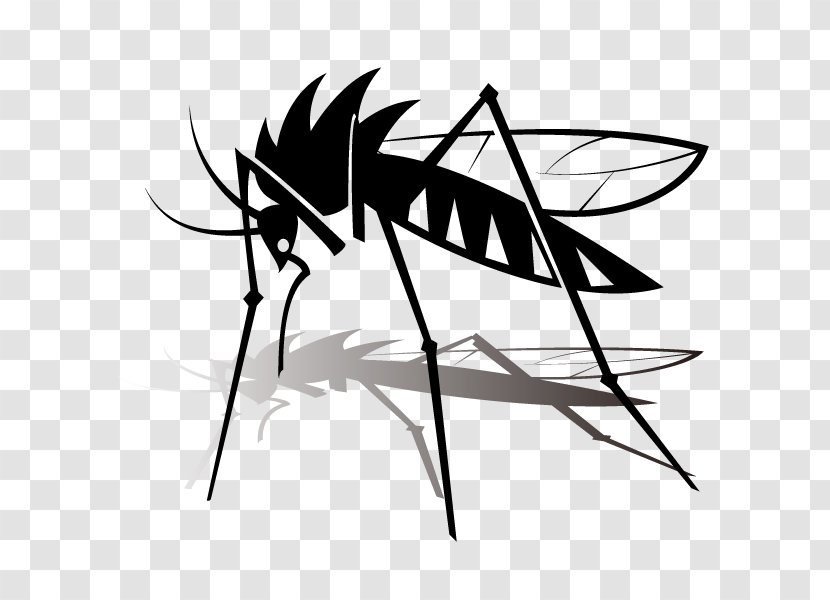 Mosquito Insect Vector Clip Art Transparent PNG