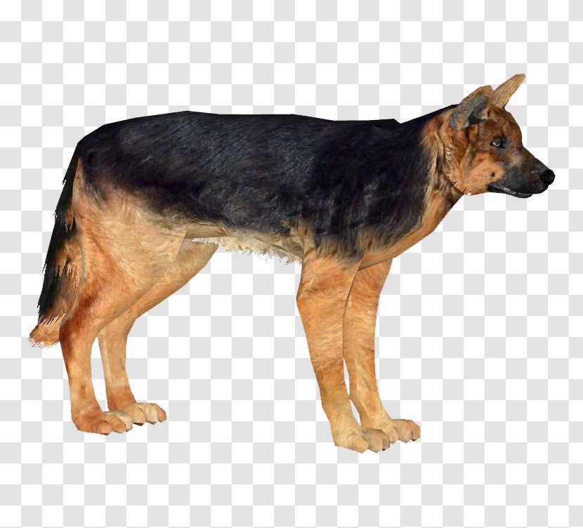 Old German Shepherd Dog Kunming Wolfdog Breed King - Vertebrate - Silhouette Transparent PNG