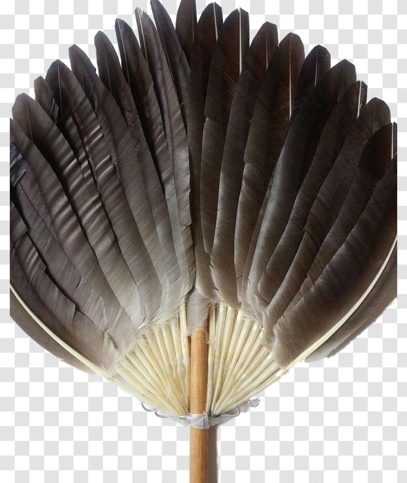 Hand Fan Feather Transparent PNG