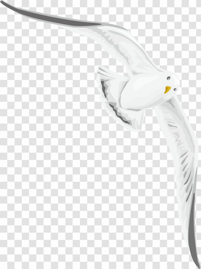 Swan Goose - Beak - Wild Decoration Design Vector Transparent PNG