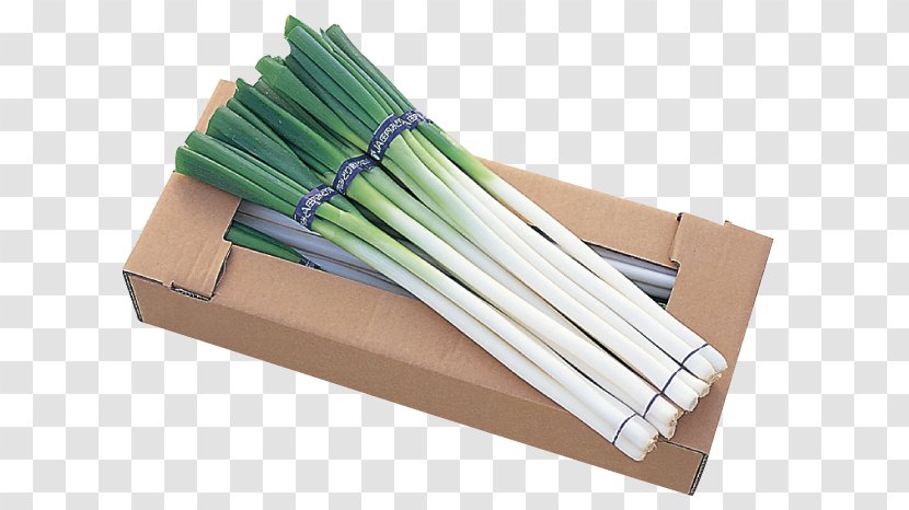Welsh Onion Product Onions - White Flowering Chives Transparent PNG